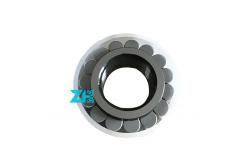 China Cpm 2165 CPM2165 full complement cylindrical roller bearing 20x36.81x16mm supplier
