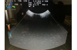 China CA123 Ultrasound Probe Repair Maintenance Replace Crystal supplier