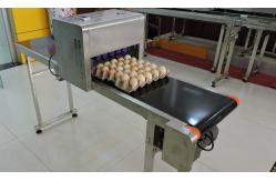 China Cycle Move Nozzle And Entire Tray Egg Printing Machine For Big Coder supplier