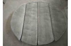 China SS304L Wire Mesh Pad Demister custom size thickness and segment plans supplier