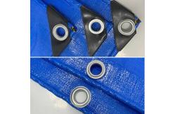 China Wide Application PE Tarpaulin With Eyelets Cover Waterproof Poly Tarp Fabric supplier