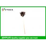 Long Handled Feather Duster With Extension Handle Various Sizes / Colors HD1756 for sale