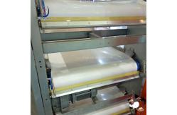 China Poultry  Broiler Cage/Laying Hen Cage PP Manure Conveyor Belt supplier