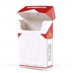 300dpi CDR Pre Roll Packaging Boxes Hemp Cigarette Empty 10 Packs Paper 500pcs for sale