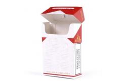 China 300dpi CDR Pre Roll Packaging Boxes Hemp Cigarette Empty 10 Packs Paper 500pcs supplier