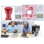 8D LRIS NLS Full Body Health Analyzer Health Scanner with CE Certificate
