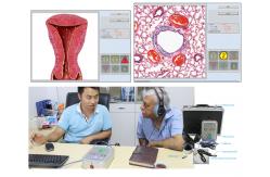 China 8D LRIS NLS Full Body Health Analyzer Health Scanner with CE Certificate supplier