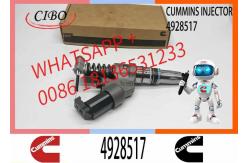 China 4903472 4928517 3411845 402622200PX Injector QSM11 QSM11-C R455LC-7 OEM supplier