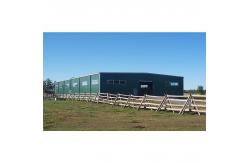 China Senwang Bespoke Steel Frame Warehouse Construction With AutoCAD/Sketchup Drawing Design supplier