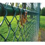 40*40MM PVC Coated Wire Mesh Garden Fence , Heavy Duty Wire Fence Panels for sale