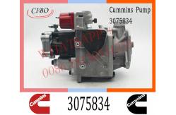 China Diesel Injection For Cummins KTA50 PT Fuel Pump 3075834 3059657 3060947 supplier