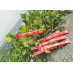 Capacity 5g Disposable White Sugar Sticks Custom Branding for sale