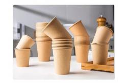 China Bio-Degradable PE Coating Takeaway kraft Paper Cups For Hot/Cold Drinking supplier