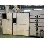 Airport Station Electronic Storage Luggage Lockers Container Rental With Pin Code Access for sale