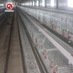 Q235 Hot Galvanized Wire Mesh Baby Chick Cage With Ventilation System for sale