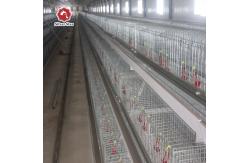 China Q235 Hot Galvanized Wire Mesh Baby Chick Cage With Ventilation System supplier
