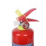 SWDPN-01:1KG 20% BC Dry Powder Fire Extinguisher for All Types of Fires for sale