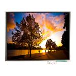 LTM12C505V 12.1 inch 1024*768 TFT-LCD Screen Display for sale