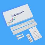 Flocked Nylon tip DNA Collection Kit Parent Child Relationship Detection Kit