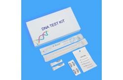 China HCY DNA Test Kit Personal Gene Analysis Collection For Paternity Testing supplier