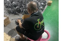 China Electric Folding Bike manufacturer