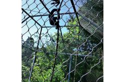 China SS304 316 Flexible Ferrule Cable Rope Mesh Aviary Wire Netting supplier