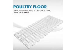 China Durable Chicken Duckling Poultry Slat Flooring supplier