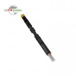 Diesel Common Rail Fuel Injector EJBR05601D 166000897R