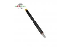 China Diesel Common Rail Fuel Injector EJBR05601D 166000897R supplier