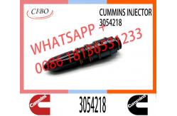 China Diesel Engine Spare Parts NT855 NTA855 Fuel Injector 3018566 3054218 supplier