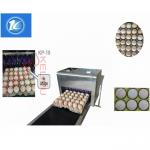 High Output Egg Inkjet Coding Printer Automatically Updated For Time Characters for sale