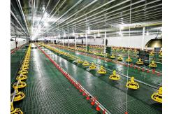 China New Poultry Farm Drinking System Caged Chicken House Watering Systems supplier