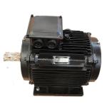 250kw 125rpm Permanent Magnet Alternator 400V 50Hz For Electricity Generation for sale