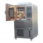 Constant Temperature Humidity Controlled Walk-in Environment Climate Test Chamber for sale