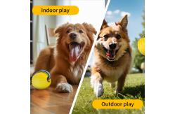 China 7cm 9cm Foam Dog Balls EVA Floating Pet Chew Toys Yellow Purple Customized supplier