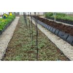 Greenhouse Hydroponic Planting Trough PP Roll For Fresh Cut Flowers Rose Cultivation for sale