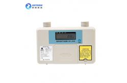 China Highly Integrated Residential Gas Meter 4m3/h 220V for biogas supplier
