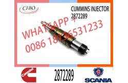 China Diesel Fuel Injector 2872544 2872289 4955080 4326959 2897320  Fuel Injector supplier