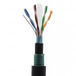 Armored Outdoor Shielded CAT6 Ethernet Cable Antirat Bite Network Cord for sale