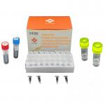 Fluorescent Quantitative PCR Diagnostic Kit Molecular Detection Of Aquatic Pathogens 48 Tests/Kit Diagnosis for sale