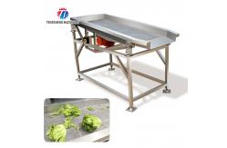 China Fruit And Vegetable Vibrating Drainer Stainless Steel Vibrating Drainer supplier