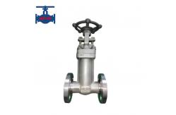 China Water Medium Bellow Sealed SS Forged Globe Valve with General Application supplier