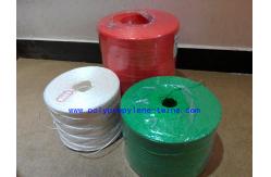 China 9000D Tomato Tying Twine supplier