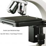 WF10X Eyepiece Binocular Student Optical Microscope ABBE NA1.25 Condenser for sale