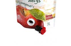 China Moisture Proof Stand Up Pouch With Spout Customized Oem Accepted supplier