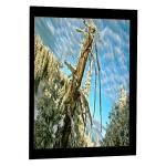5.0 Inch RGB 320x234 LCD Screen Display Panel LQ5AW136 Antireflection for sale