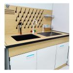 Chemical Resistant Lab Wall Bench Length 750mm With Phenolic Resin Table Top for sale