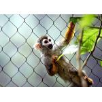 Hand Woven Stainless Steel Cable Netting Wire Mesh Monkey Enclosure SGS Certified
