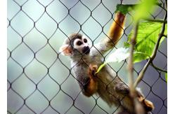 China Hand Woven Stainless Steel Cable Netting Wire Mesh Monkey Enclosure SGS Certified supplier