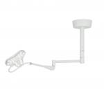 Minor Surgical Exam Lamp Veterinary Operating Room Examination Led Light for sale